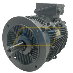 Электродвигатель 1LE1001-2AZ59-0HA4-Z Siemens