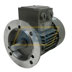 Электродвигатель 1LE1002-0BA22-2FA4 Siemens