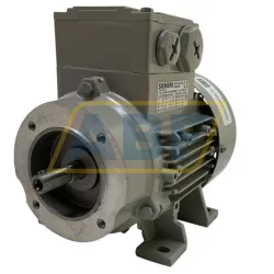 Электродвигатель 1LE1002-0BA32-2NA4 Siemens