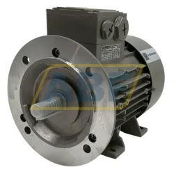Электродвигатель 1LE1002-0CB22-2JA4 Siemens