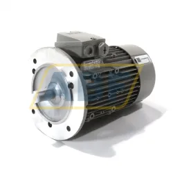 Электродвигатель 1LE1003-0DB30-2FA4 Siemens