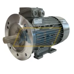 Электродвигатель 1LE1003-0EB42-2JA4-Z Siemens