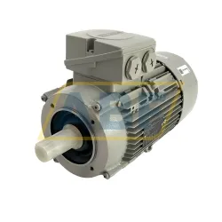 Электродвигатель 1LE1001-1AA63-4KA4 Siemens