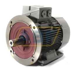 Электродвигатель 1LE1001-1CB02-2JA4 Siemens, 5,5 кВт