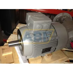 Электродвигатель 1LE1001-1CB02-2KA4 Siemens, 5,5 кВт