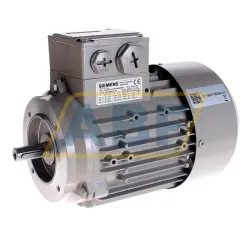Электродвигатель 1LE1002-0CB62-2KA4 Siemens