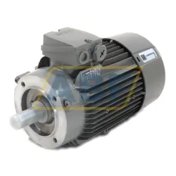 Электродвигатель 1LE1003-0EC02-2KA4 Siemens