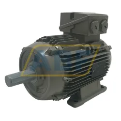 Электродвигатель 1LE1003-1AB49-0AA4-Z Siemens