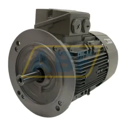 Электродвигатель 1LE1003-1BA22-2FA4 Siemens