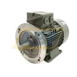 Электродвигатель 1LE1003-1BB22-2JB4 Siemens