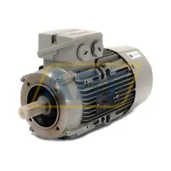 Электродвигатель 1LE1003-1AA42-2KA4 Siemens