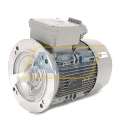 Электродвигатель 1LE1003-1BB20-4FB4-Z R70 Siemens