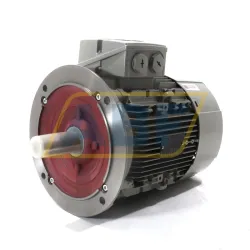 Электродвигатель 1LE1003-1CA03-4FA4 Siemens