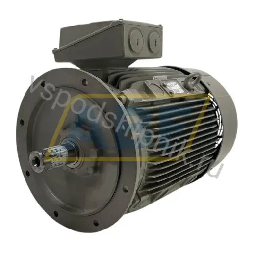 Электродвигатель 1LE1501-2BA23-4FA4 Siemens, 45 кВт