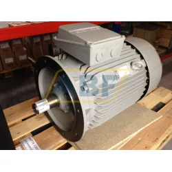 Электродвигатель 1LE1501-2BA29-0FA4-Z Siemens, 51 кВт