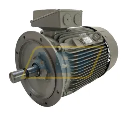 Электродвигатель 1LE1501-2BB23-4FA4 Siemens, 45 кВт