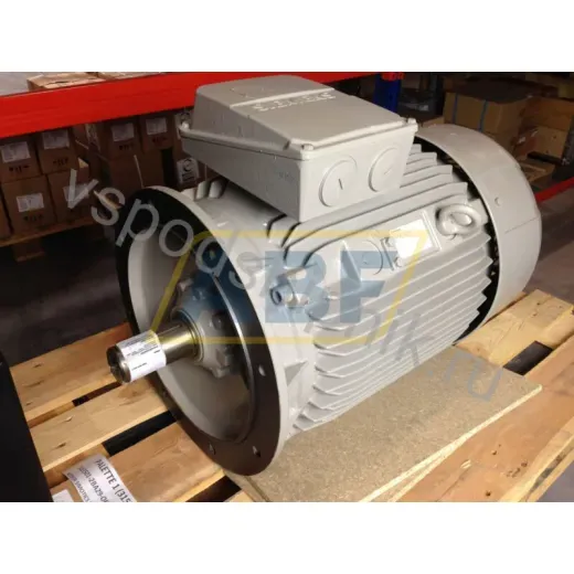 Электродвигатель 1LE1501-2BA29-0FA4 Siemens, 45 кВт
