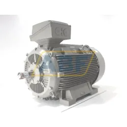 Электродвигатель 1LE1501-3AA43-4AB4 Siemens, 160 кВт