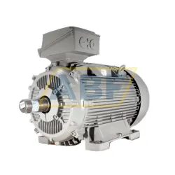 Электродвигатель 1LE1503-3AB43-4AH4 Siemens, 160 кВт
