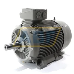 Электродвигатель 1LE1603-1EB43-4AB4 Siemens, 22 кВт