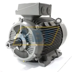 Электродвигатель 1LE1603-2AB53-4AB4 Siemens, 30 кВт