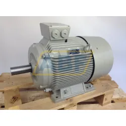 Электродвигатель 1LG4183-4AA60 Siemens, 18,5 кВт