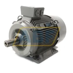 Электродвигатель 1LG4186-4AA60 Siemens, 22 кВт