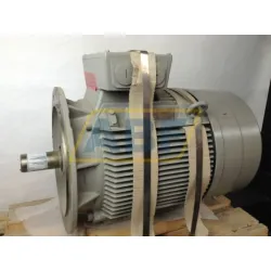 Электродвигатель 1LG4223-2AA61 Siemens, 45 кВт
