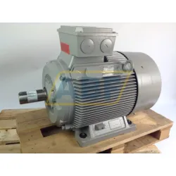 Электродвигатель 1LG4253-4AA60 Siemens, 55 кВт