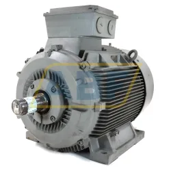 Электродвигатель 1LG4280-2AB60 Siemens, 75 кВт