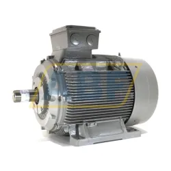 Электродвигатель 1LG4283-6AA60 Siemens, 55 кВт