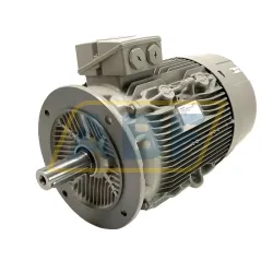 Электродвигатель 1LE1003-1EB23-4FA4 Siemens