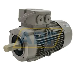 Электродвигатель 1LE1004-1AA42-2KA4 Siemens