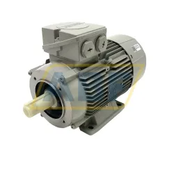 Электродвигатель 1LE1004-1AA42-2NA4 Siemens