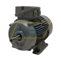Электродвигатель 1LE1004-1BA23-4AA4 Siemens
