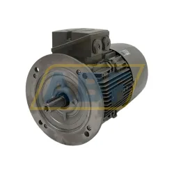 Электродвигатель 1LE1004-1BB22-2FA4 Siemens