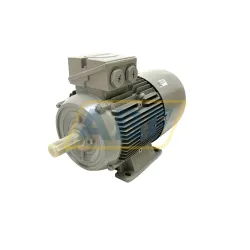 Электродвигатель 1LE1004-1BB23-4AA4 Siemens
