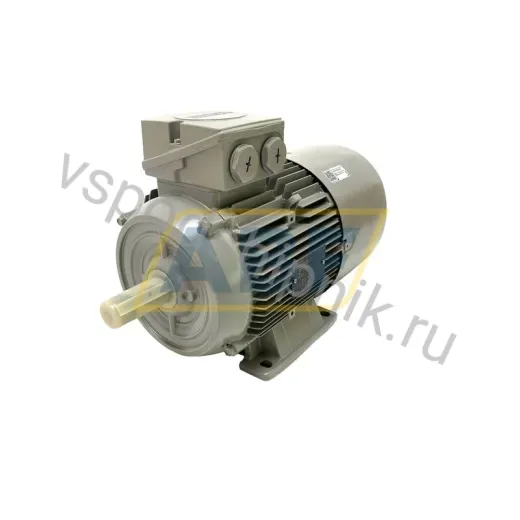 Электродвигатель 1LE1004-1BB23-4AA4 Siemens