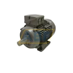 Электродвигатель 1LE1004-1CB23-4AA4 Siemens