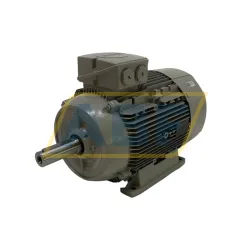Электродвигатель 1LE1004-1DA43-4AA4 Siemens