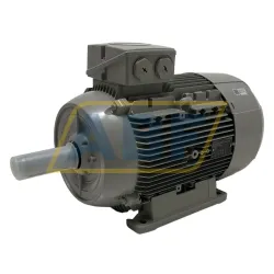 Электродвигатель 1LE1004-1DB43-4AA4 Siemens