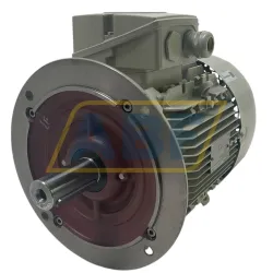 Электродвигатель 1LE1011-1CP29-0FA7-Z Siemens