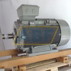 Электродвигатель 1LG4317-6AA60 Siemens, 132 кВт