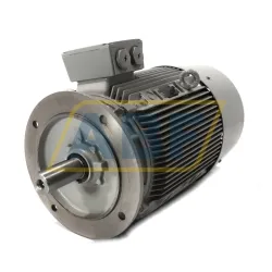 Электродвигатель 1LG6183-2MA61 Siemens, 22 кВт