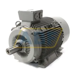 Электродвигатель 1LG6186-4MA60 Siemens, 22 кВт