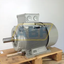 Электродвигатель 1LG6206-6AA60 Siemens, 18,5 кВт