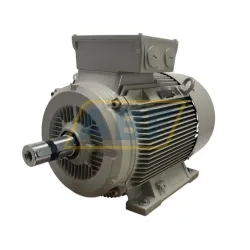 Электродвигатель 1LG6206-6AA66 Siemens, 18,5 кВт