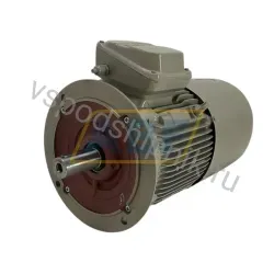 Электродвигатель 1TZ9501-1CB29-0FA4-Z Lönne