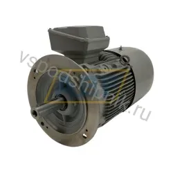 Электродвигатель 1TZ9501-1DB49-0FA4-Z Lönne