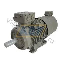 Электродвигатель 1TZ9503-1DB43-4AB4-Z Lönne